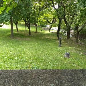 Meet your Posher, Alexander